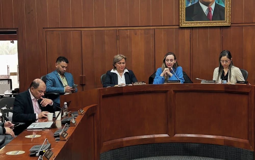 Piden incluir en la reforma a la salud incluir mecanismos de control para evitar el robo de recursos imagen de la publicación