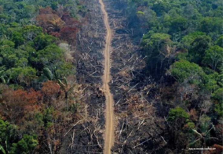 Se agudiza crisis ambiental en la Amazonía: 88.000 hectáreas deforestadas y 1.107 kilómetros de vías ilegales imagen de la publicación