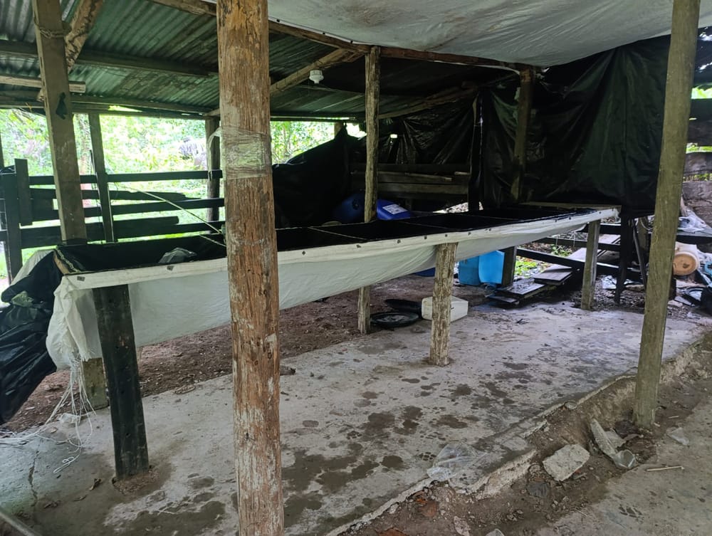 Ejército golpea las finanzas ilícitas del ELN en el sur del Cesar imagen de la publicación