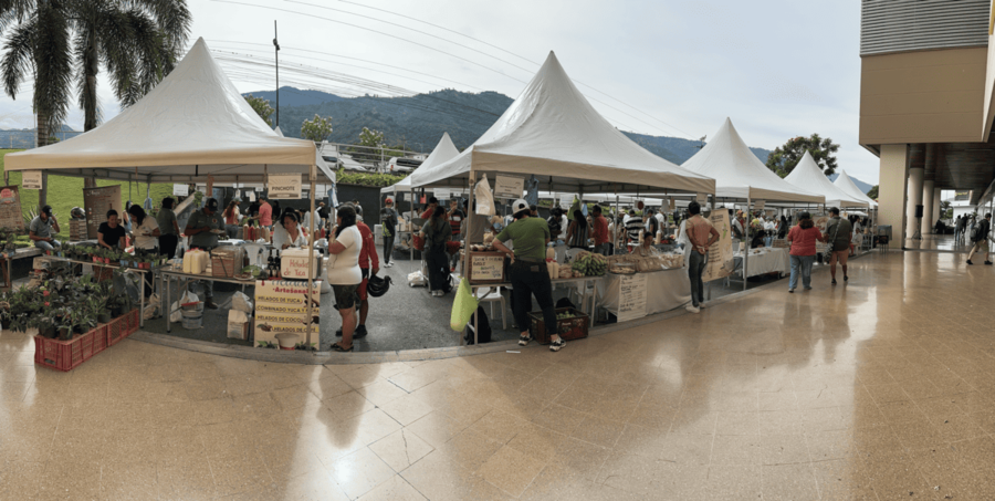 Delacuesta rinde un homenaje a las "Manos que Cultivan" imagen de la publicación
