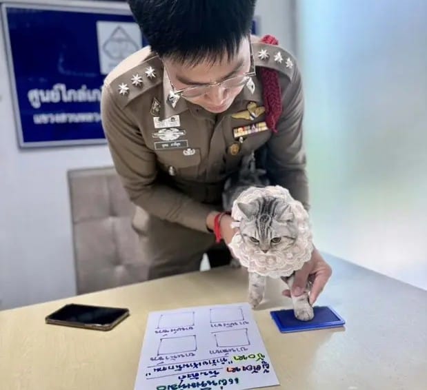 Gatica fue enviada a la cárcel por morder a policías imagen de la publicación