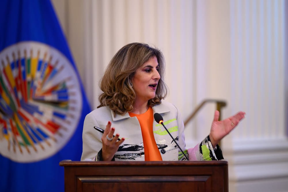 Colombiana Laura Gil fue elegida Secretaria General Adjunta de la OEA para el periodo 2025 – 2030 imagen de la publicación