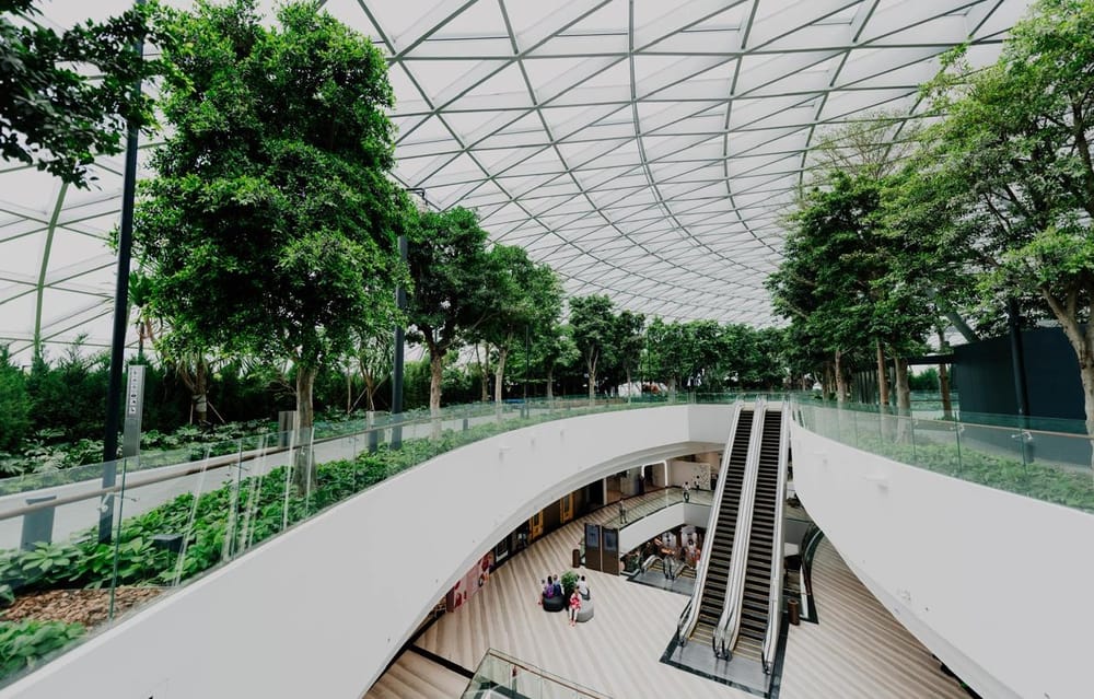 La sostenibilidad y la inteligencia artificial impulsan la formación de los arquitectos del futuro imagen de la publicación