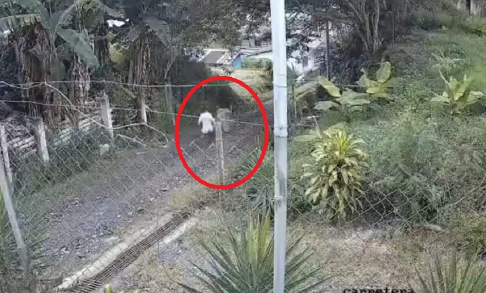 Capturan a un pastor evangélico por abuso sexual y tentativa de asesinato contra su hijastra imagen de la publicación