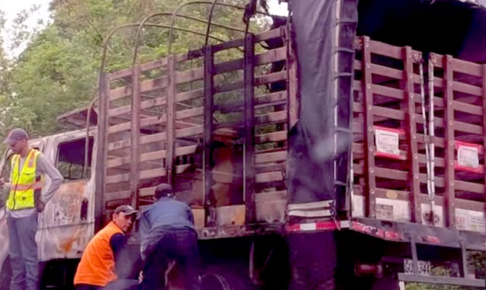 Misterioso ataque: roban, despojan y queman camión en plena vía pública imagen de la publicación