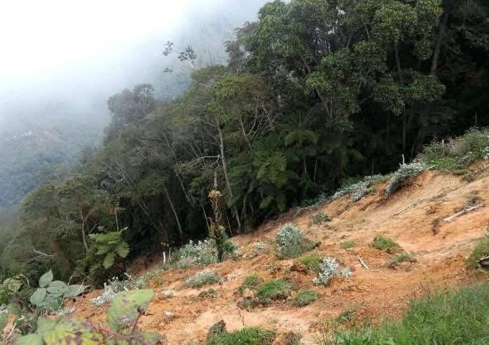 “El Gobierno brilla por su ausencia”: denuncias tras avalancha en Piedecuesta imagen de la publicación