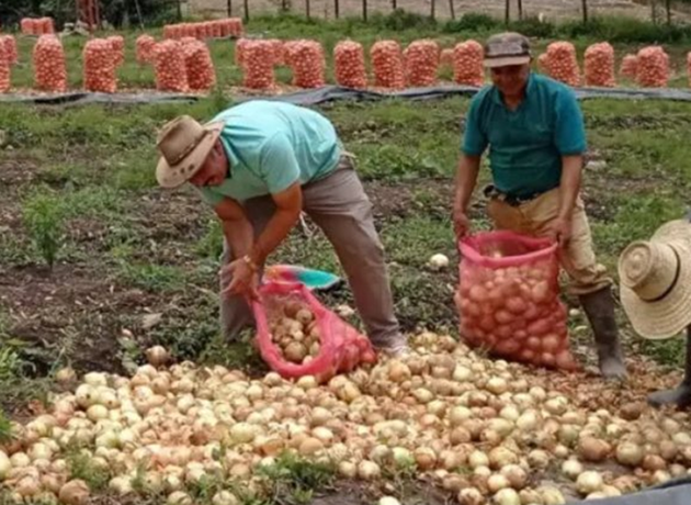 ¡Emergencia en García Rovira! Lluvias aíslan el turismo y devoran cosechas imagen de la publicación