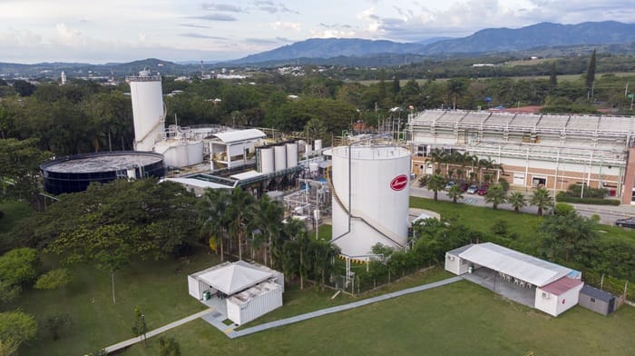 Bioingredientes revolucionaron la producción de pan en Colombia imagen de la publicación