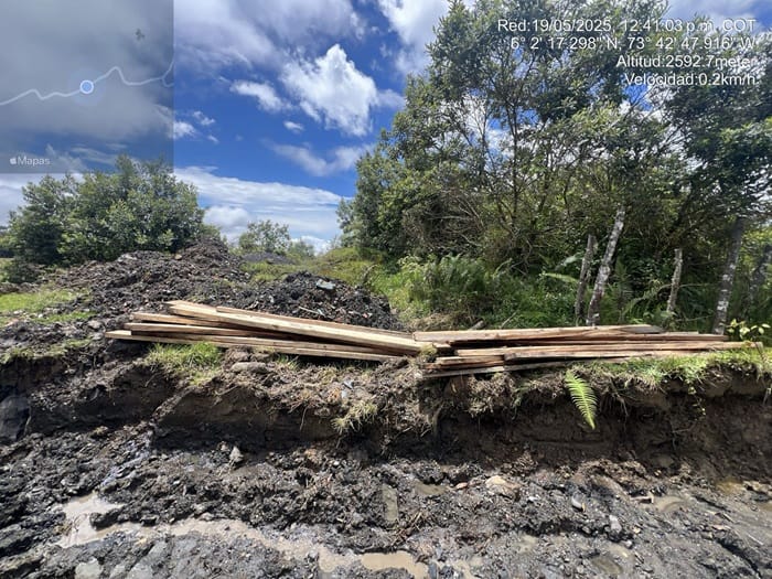 Suspendieron tala que amenazaba nacimientos de agua en Vélez imagen de la publicación