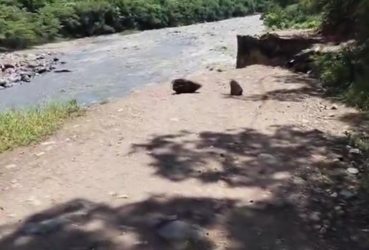 “Llevamos un año sin carretera”: clamor de los campesinos de Cabrera imagen de la publicación