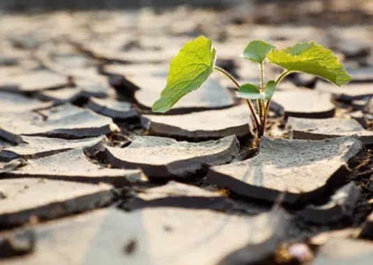 Colombia firma compromiso con los suelos para vocación agrícola imagen de la publicación