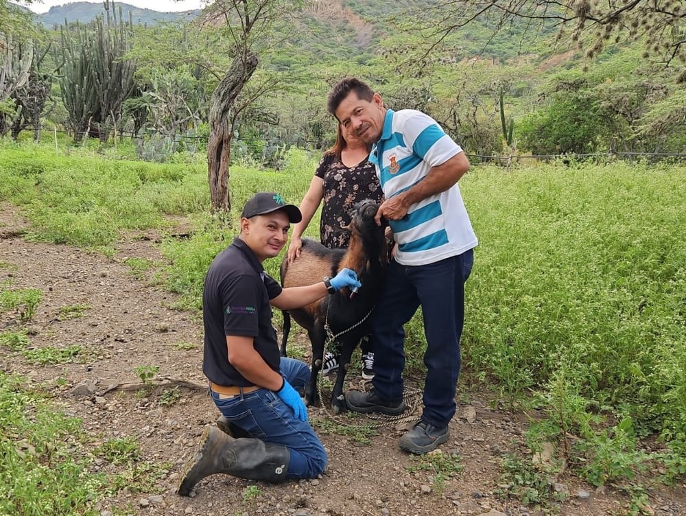 Fortaleciendo el campo con ciencia y formación integral imagen de la publicación