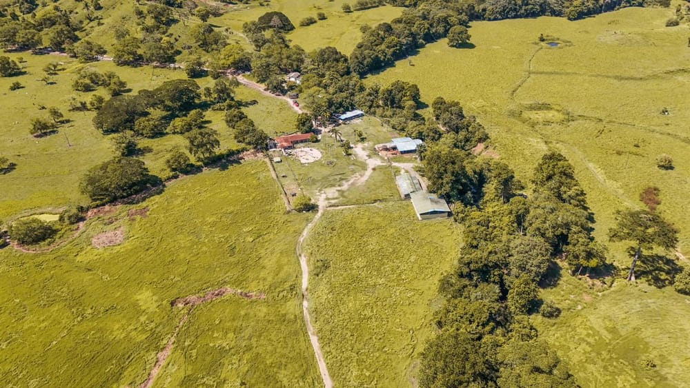 Golpe a la mafia: recuperadas para el campesinado 3.000 hectáreas usadas por narcotraficantes y paramilitares imagen de la publicación