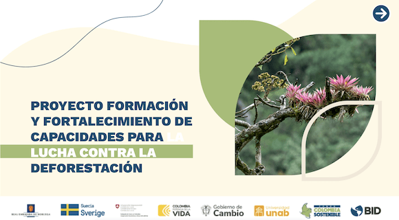 Bumangueses jugaron un papel clave en la lucha nacional contra la deforestación imagen de la publicación