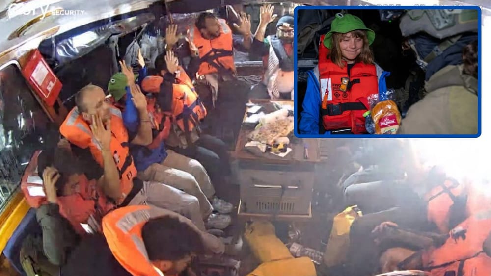 Tensión por Gaza. Israel asaltó barco de la Flotilla de la Libertad con Greta Thunberg a bordo imagen de la publicación