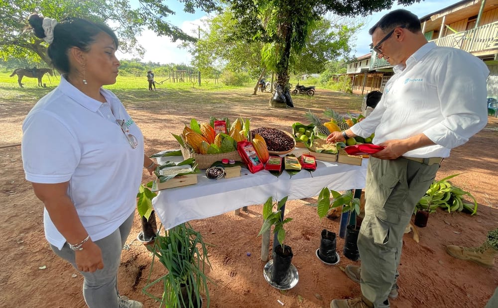 Campesinos del Catatumbo quieren replicar experiencias del  ‘Triángulo del Cacao’ imagen de la publicación