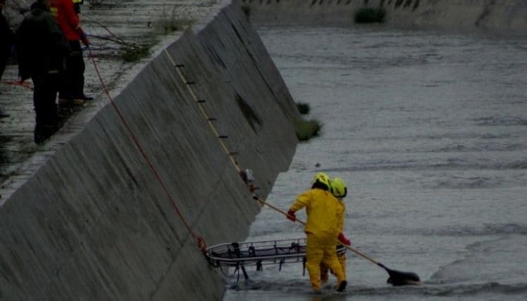 Cuerpo de hombre asesinado fue partido en dos imagen de la publicación