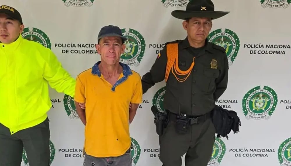 Aplican Ley Ángel a masacrador de gatos imagen de la publicación