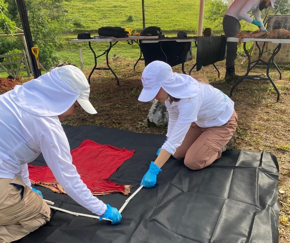 Recuperan en fosa del Magdalena Medio cinco cuerpos, avanza su identificación imagen de la publicación