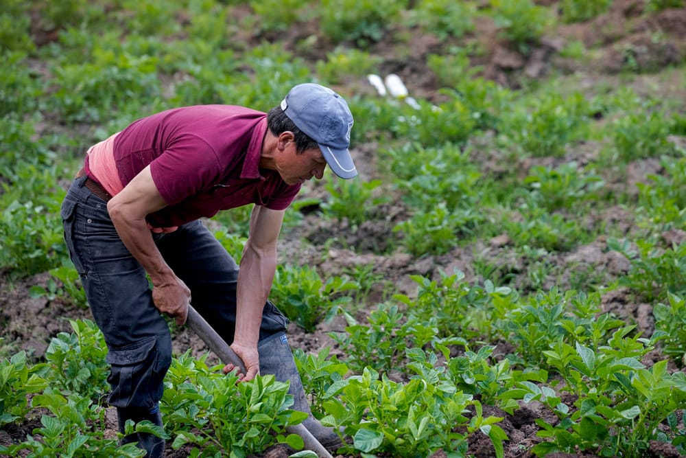 Variado comportamiento en los precios de la canasta familiar durante mayo imagen de la publicación