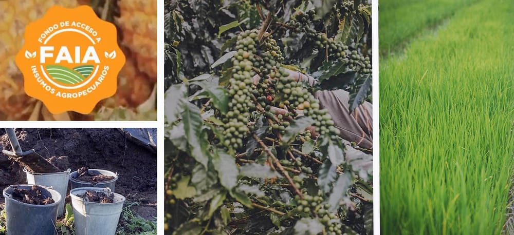 MinAgricultura asigna $77.000 millones para Acceso a Insumos Agropecuarios imagen de la publicación