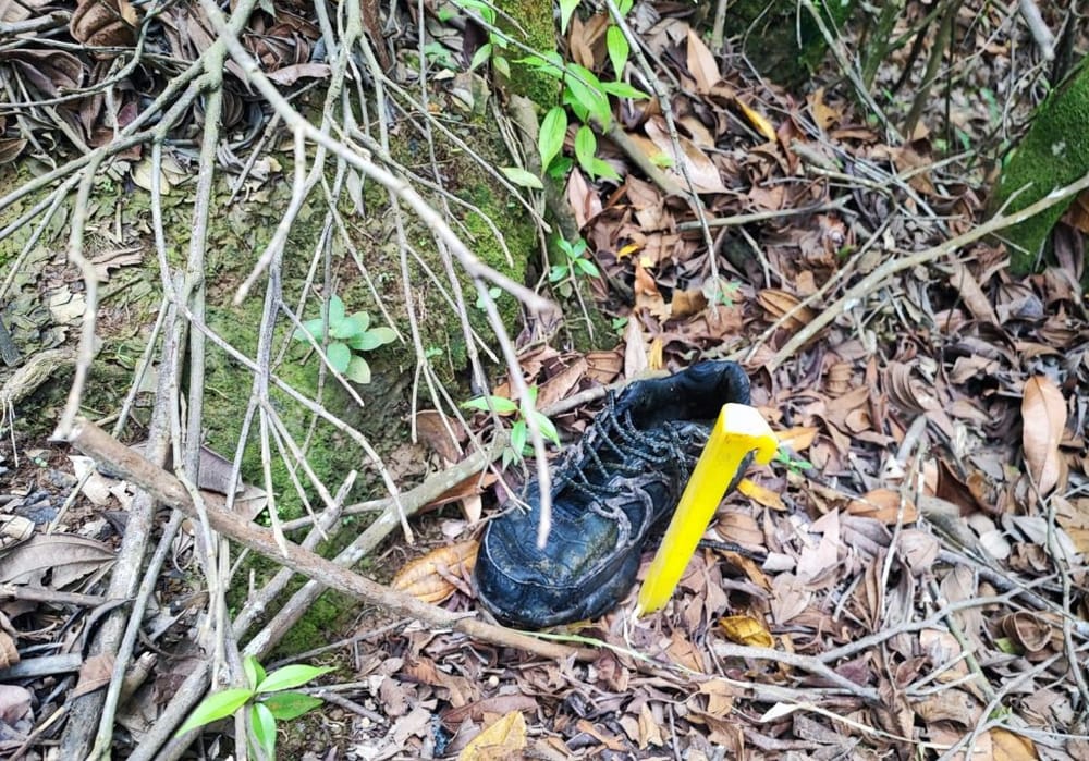 Hallan sin vida a joven en zona rural imagen de la publicación