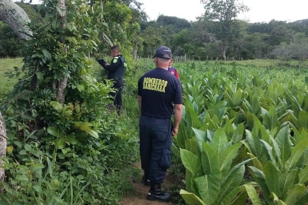 Campesino fue hallado sin vida en Santander imagen de la publicación