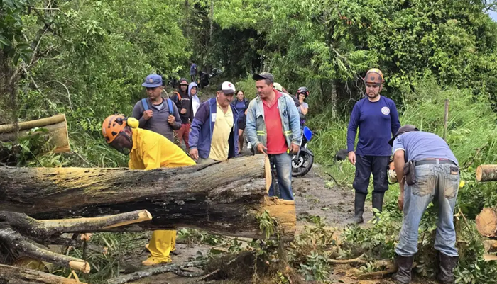 Vendaval dejó sin energía a zonas urbanas y rurales de Barichara imagen de la publicación