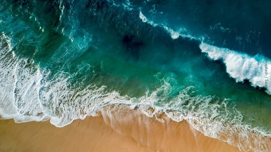 Colombia marcó la ruta azul para salvar los océanos del planeta imagen de la publicación