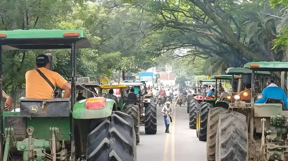 Productores de arroz en Colombia convocan paro nacional por desplome de precios y falta de apoyo del Gobierno imagen de la publicación