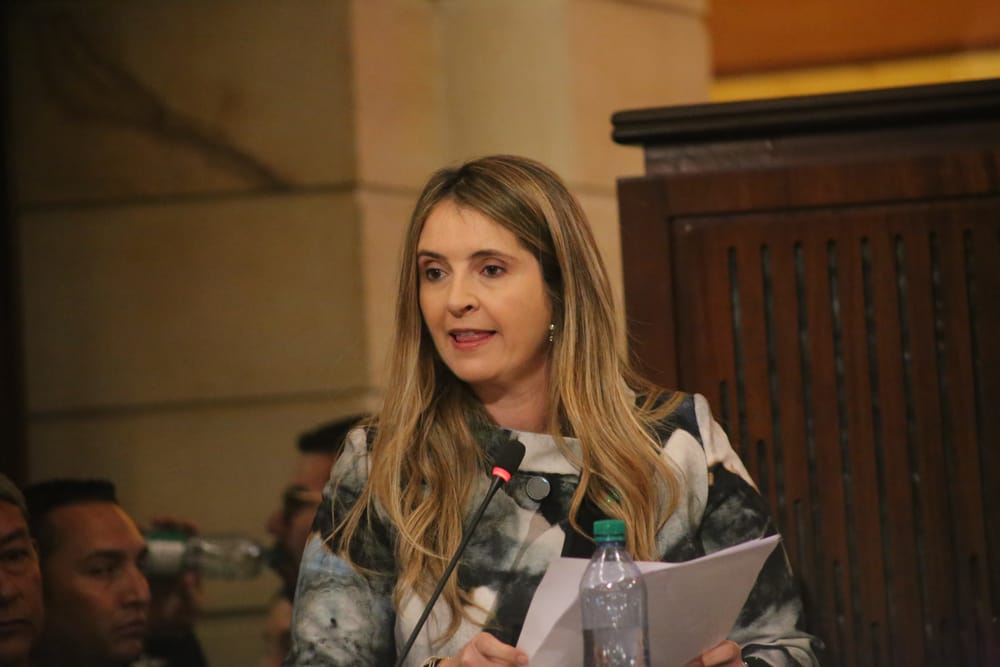 “Colombia no cae…No vamos a parar hasta cambiar lo que nos duele”: Paloma Valencia en su discurso a Petro imagen de la publicación