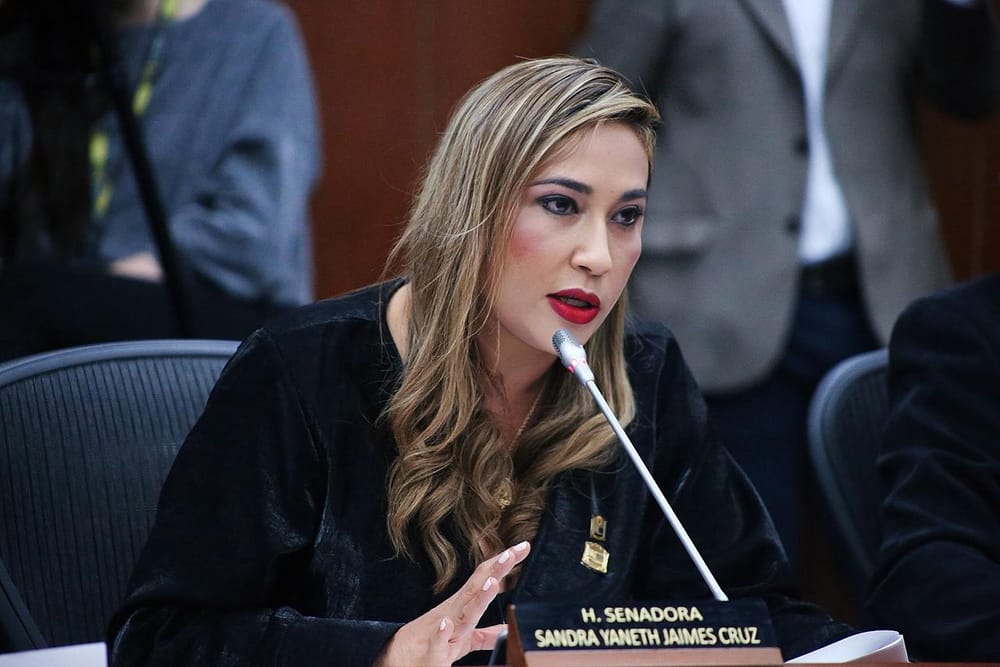 Paro arrocero: senadora santandereana pidió regulación territorial de los precios imagen de la publicación