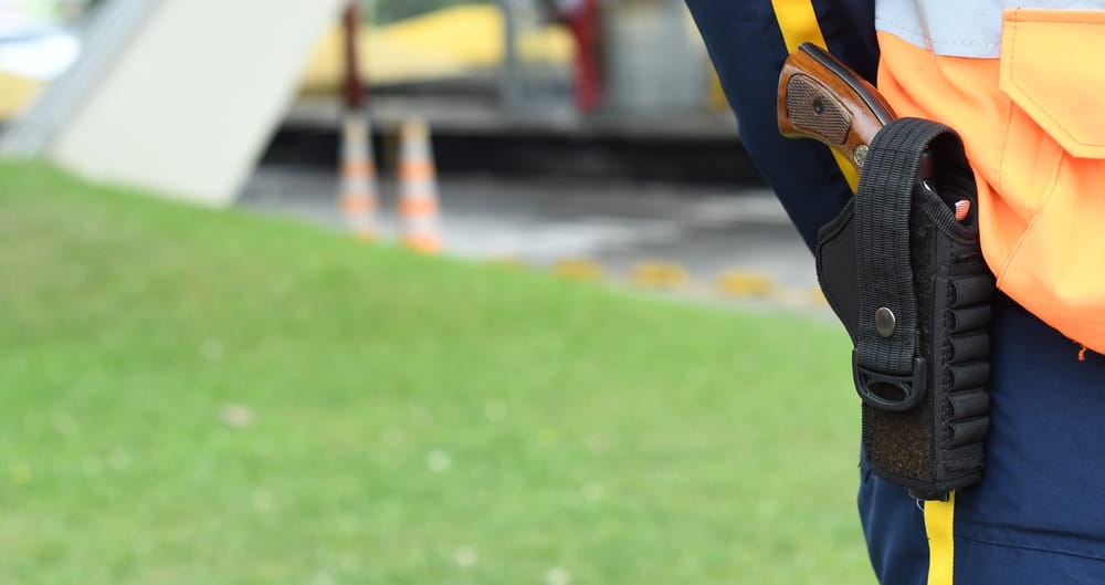 Gobierno pone la lupa sobre armas en empresas de vigilancia imagen de la publicación