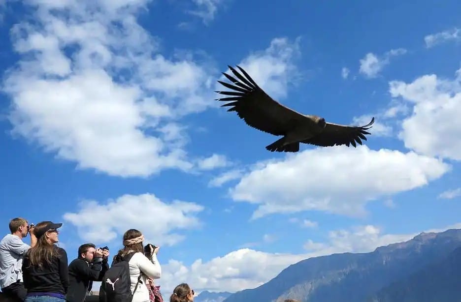 Ruta del Cóndor en García Rovira imagen de la publicación