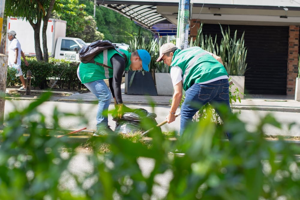 Recuperada área degradada con plantas en el barrio Toledo Plata imagen de la publicación