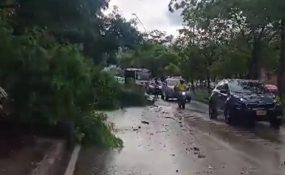 Continúa atención y recuperación en zonas afectadas por las lluvias de las últimas semanas en Bucaramanga imagen de la publicación