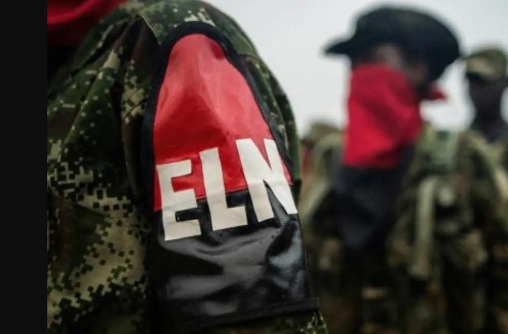 ELN anuncia ‘paro armado’ en Chocó imagen de la publicación