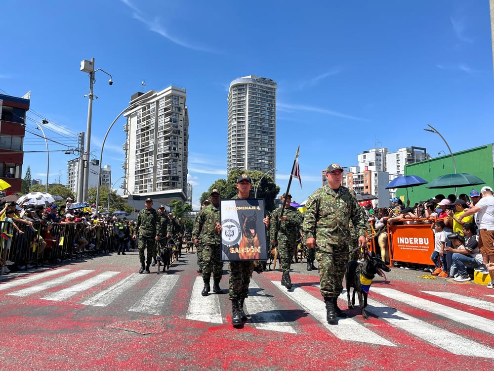 El alma de un héroe desfiló este 20 de julio en Bucaramanga imagen de la publicación