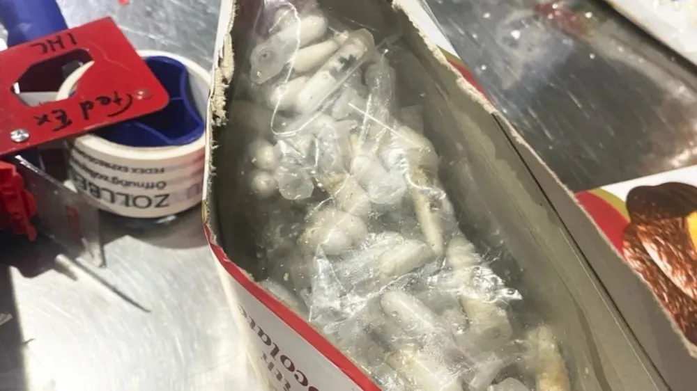 Incautan más de mil tarántulas escondidas en cajas de chocolate imagen de la publicación