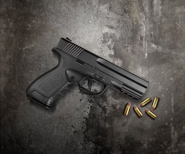 A prisión hermanos por presunto tráfico de armas imagen de la publicación