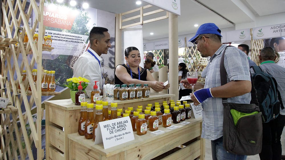 Inicia Bioexpo 2025, la feria de negocios verdes más importante de Latinoamérica imagen de la publicación