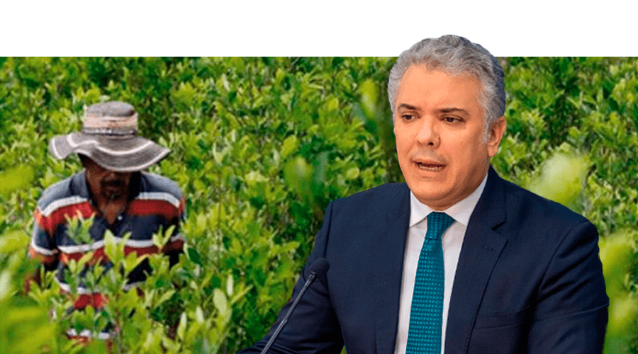 Petro culpó a Duque en el aumento de los cultivos ilícitos en Colombia imagen de la publicación