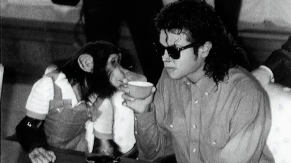 Bubbles, el chimpancé de Michael Jackson, cumplió 42 años imagen de la publicación