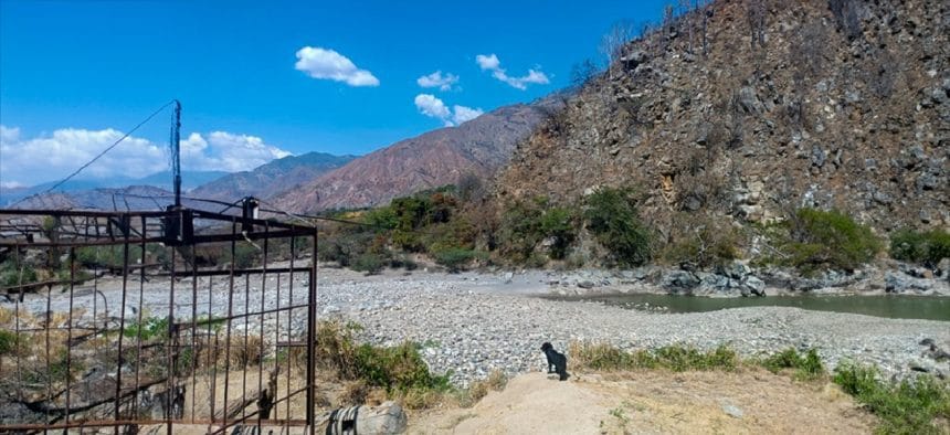 Molagavita implora por una tarabita imagen de la publicación