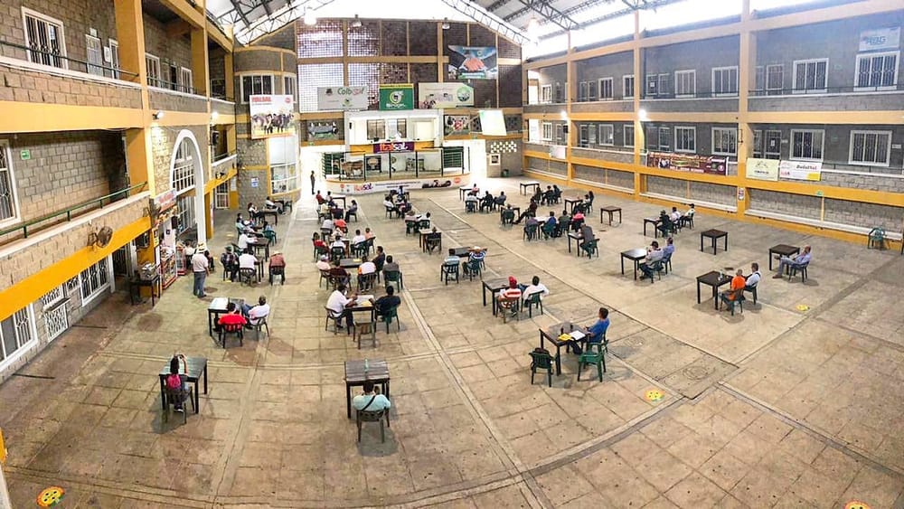 Gran subasta ganadera con sello santandereano imagen de la publicación