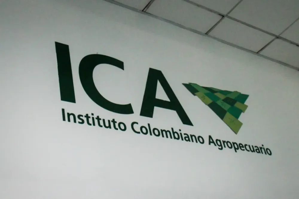 Empapelan a la exgerente del ICA en Bucaramanga. Le contamos por qué imagen de la publicación