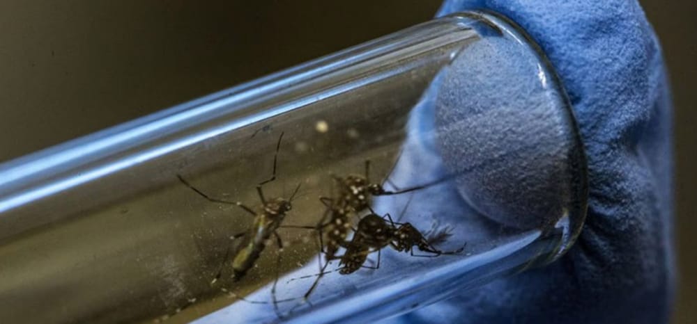 Pese al aumento de casos de dengue en Santander cifra es menor que la del mismo periodo del año2024 imagen de la publicación