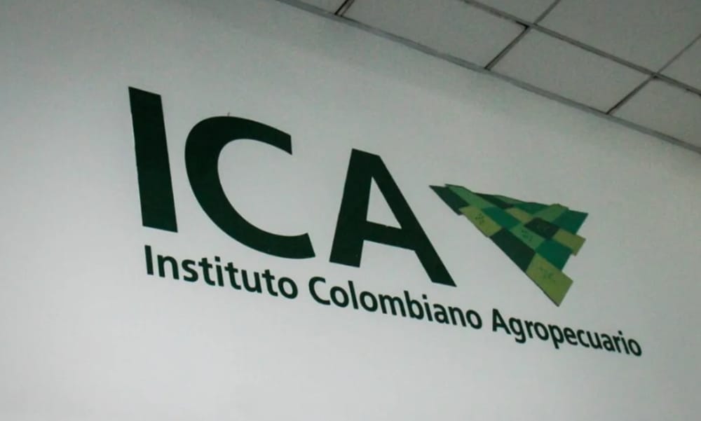 Procuraduría formuló cargos disciplinarios por irregularidades en contratación del ICA en Bucaramanga imagen de la publicación