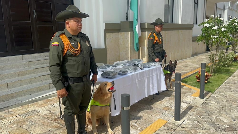 Canino detectó 8.000 gramos de estupefacientes imagen de la publicación