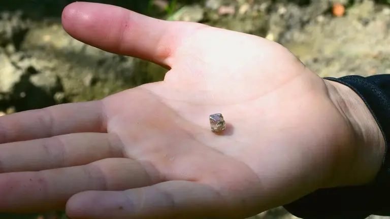 Mujer encontró diamante de 2,30 quilates tras búsqueda de un mes por un parque imagen de la publicación